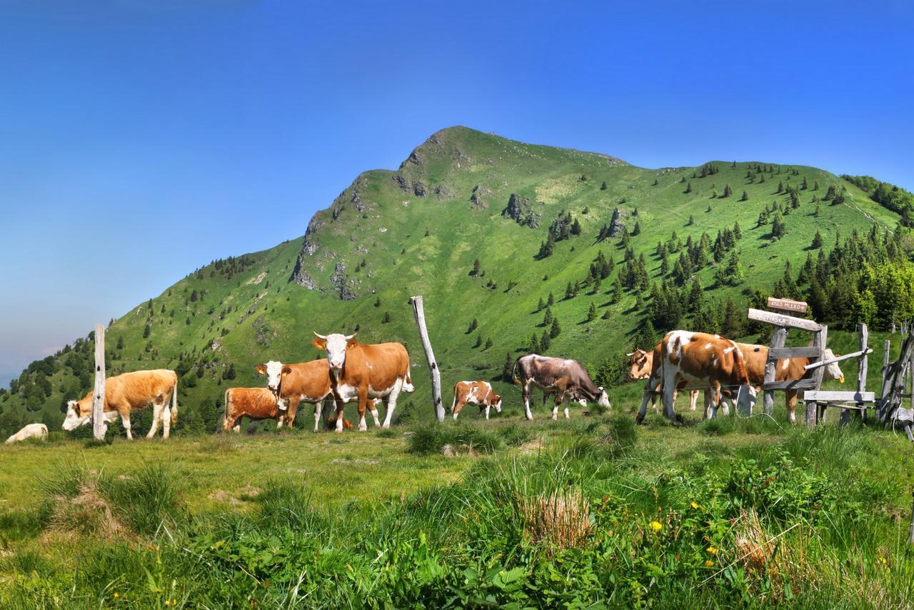 Hostel Prenocisca Cerkno Exteriér fotografie