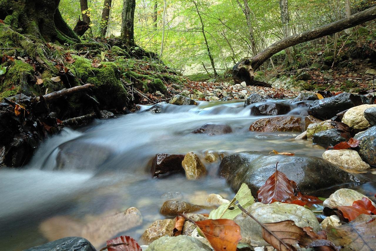 Hostel Prenocisca Cerkno Exteriér fotografie