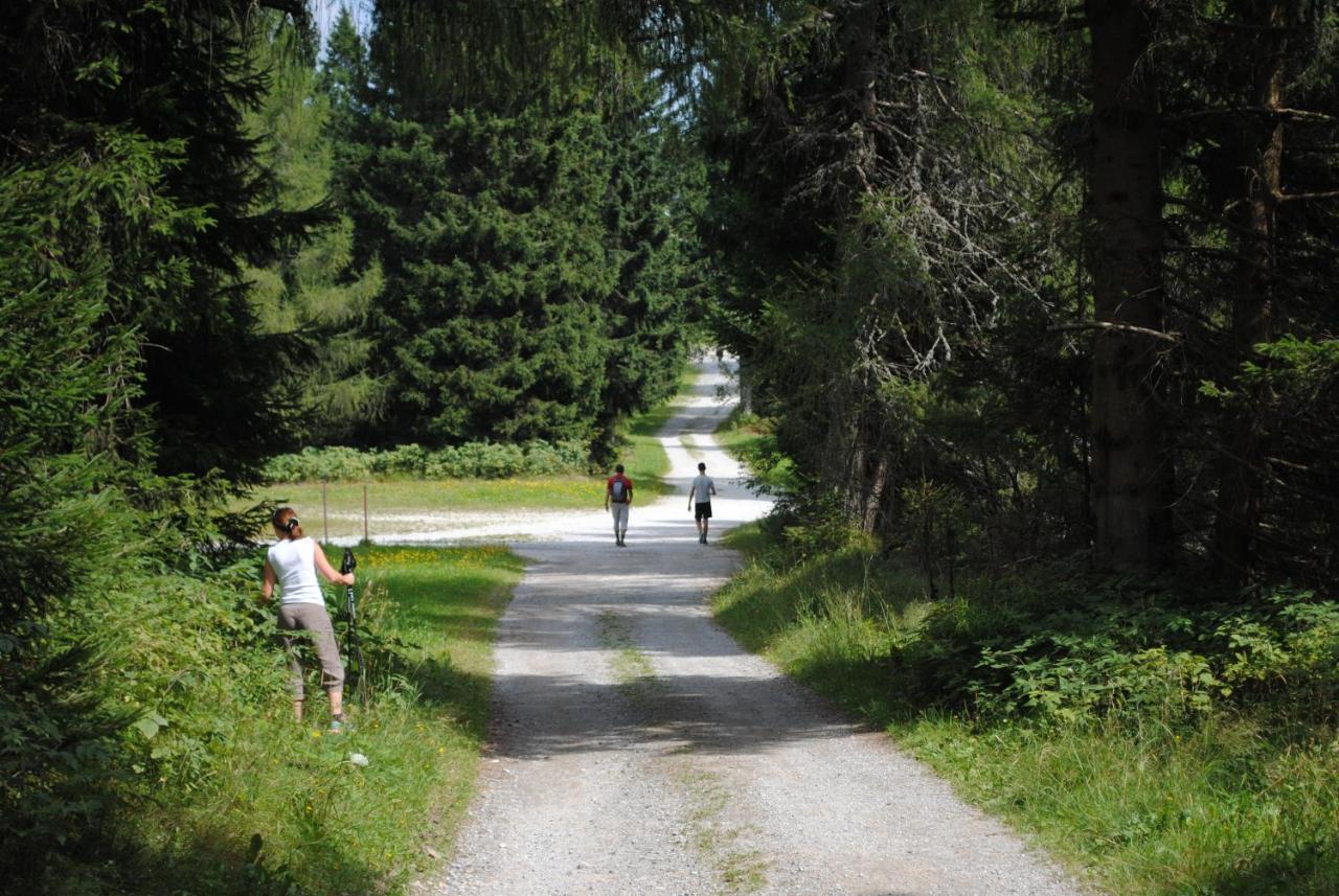 Hostel Prenocisca Cerkno Exteriér fotografie
